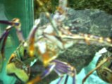 285-287.jpg.small.jpeg