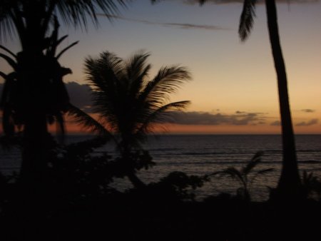362-IMGP1181.jpg.medium.jpeg